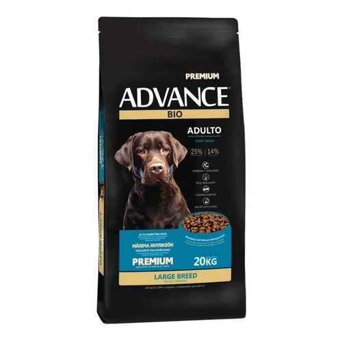 ADVANCE AD LARGE X 20