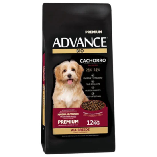 ADVANCE CACHORRO X 12
