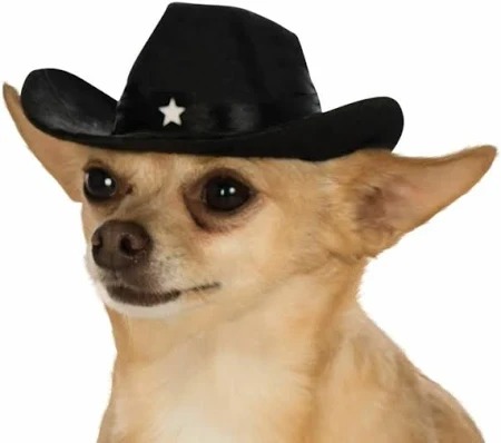 SOMBRERO VAQUERO CHICO