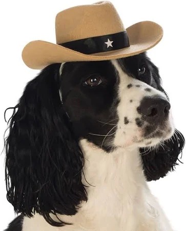 SOMBRERO VAQUERO GRANDE