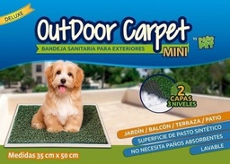 [1609-0354] CARPET MINI CESPET SINTETICO OUTDOOR (35X50CM)