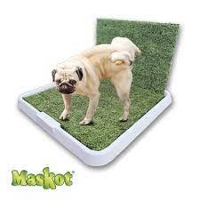 [0809-3504] CARPET MINI MASKOT CON ACCESORIO PARA MACHO (46X46CM)